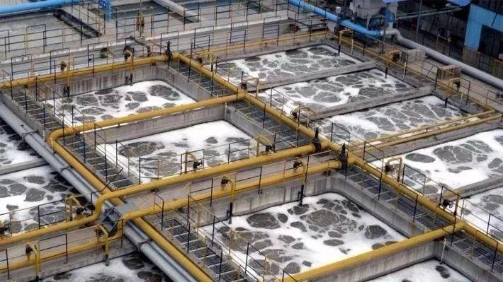 Industrial wastewater biological treatment system